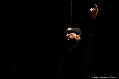 Handsome Dick Manitoba