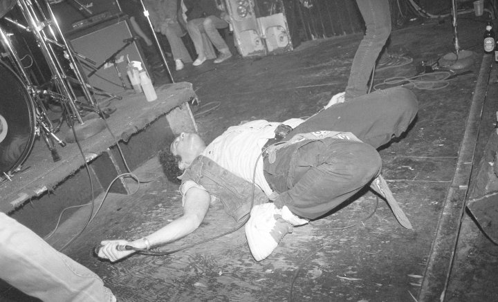 Wild Kingdom at the Rat 1